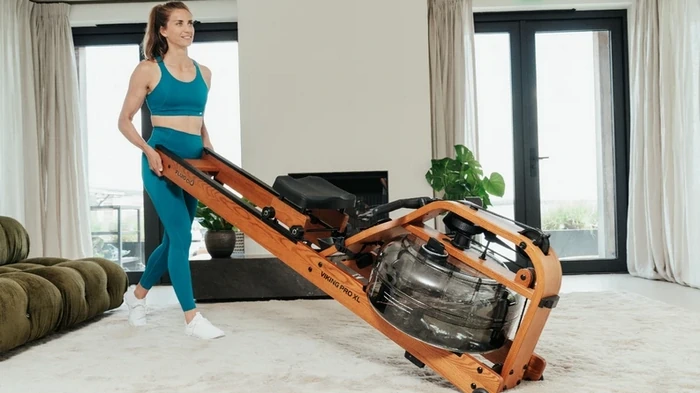 тренажер гребля