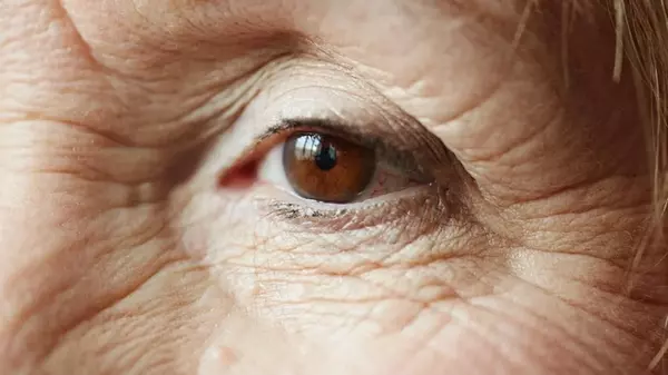 Ученые нашли секрет «замораживания» старения в неожиданном источнике