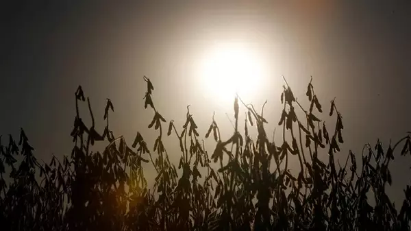 Лето в Украине будет более 5 месяцев: климатолог сделала неутешительные прогнозы