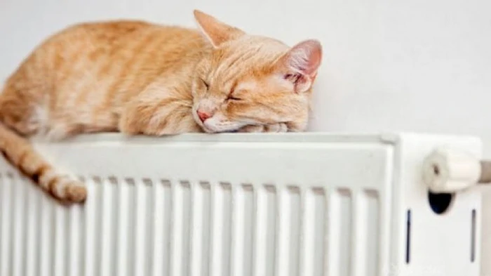 Отопительный сезон 2025: когда включат батареи и какие будут тарифы