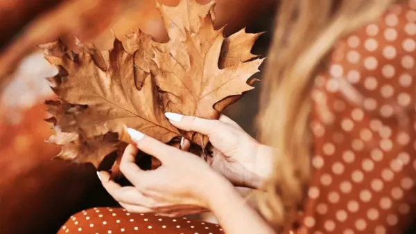 Какой будет погода в сентябре: прогноз Укргидрометцентра на первый месяц осени