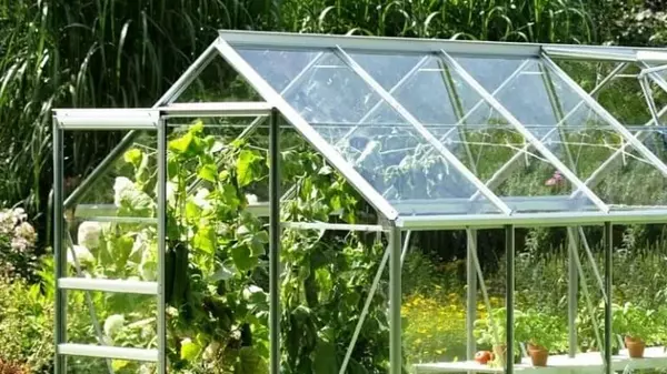 Як обрати полікарбонат для теплиці: поради для українських реалій