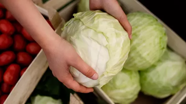 Еще один овощ стремительно дешевеет в Украине: цена просела уже на 20%