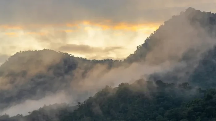 1500 лет назад «Затерянный город» Амазонки неожиданно исчез с лица Земли: что с ним произошло