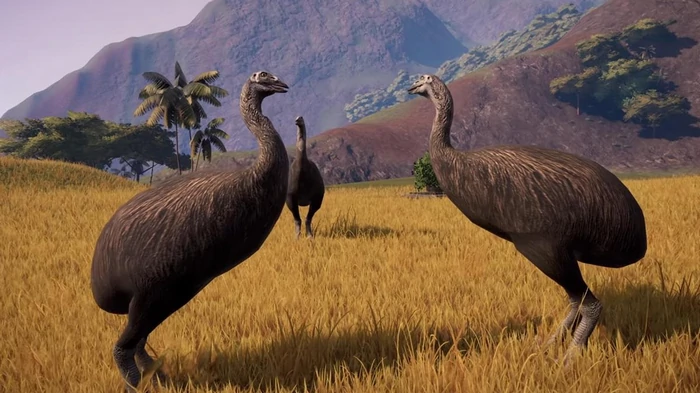 Тяжелее коровы и выше страуса: какая птица была крупнейшей в истории
