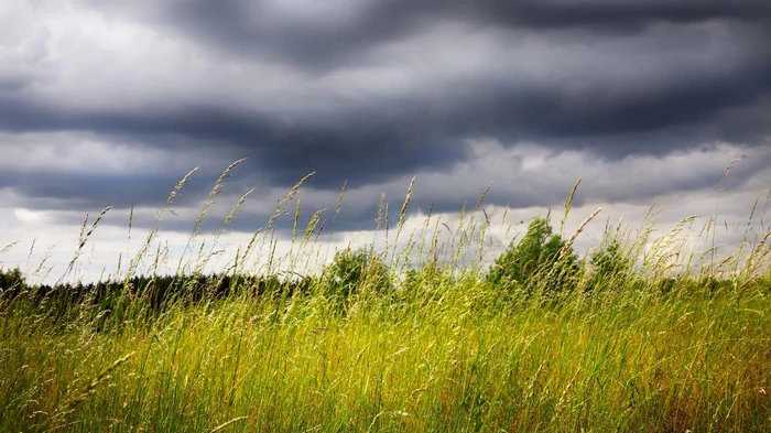 Во Львове ввели І уровень опасности: что происходит