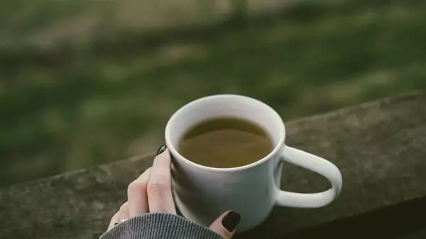 Мозг можно «перезапустить»: как чай и витаминная добавка могут остановить болезнь Альцгеймера