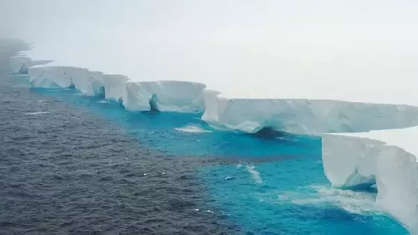 Критические изменения в Антарктике: эксперты заявили об угрозе для пингвинов и тюленей из-за движения айсберга