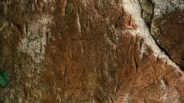 На высоте 1307 метров: таиландские рейнджеры нашли древние петроглифы