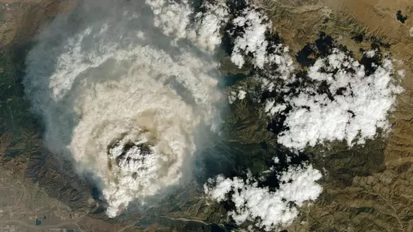 Климатический парадокс: масштабные лесные пожары могут быть полезны для планеты