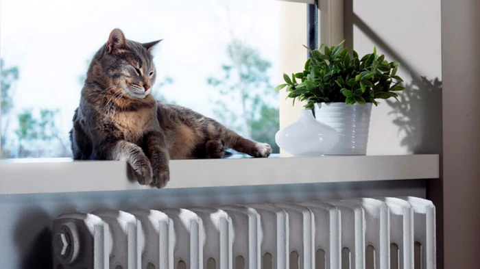 Отопительный сезон приближается: какими будут тарифы на тепло