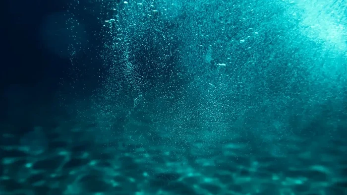 Источник почти трети кислорода на Земле под угрозой: его выживанию мешает потепление океана