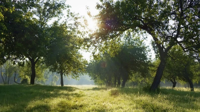 Археологи определили место, где действительно был Эдем, но есть нюанс