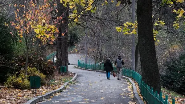 Холодные ночи и дождливое воскресенье: прогноз на последние выходные сентября