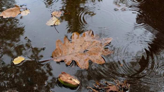 Октябрь начинается с холода и дождей: где завтра ожидать +6
