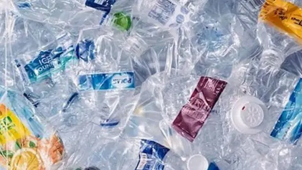 Ученые обнаружили микропластик в человеческих костях