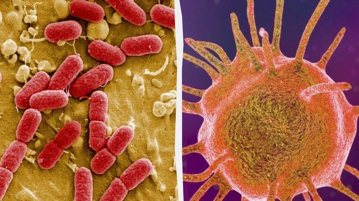 Бактерии научились уничтожать антибиотики: ученые узнали, как это происходит