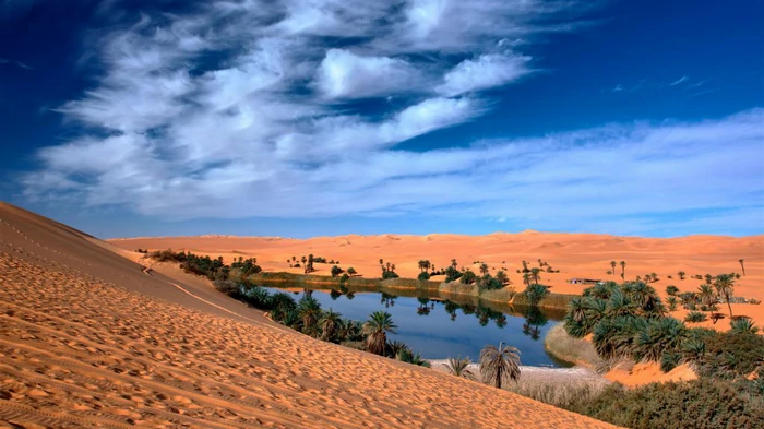 Сахара зазеленеет до конца века: климатологи предрекли эпоху дождей в Африке