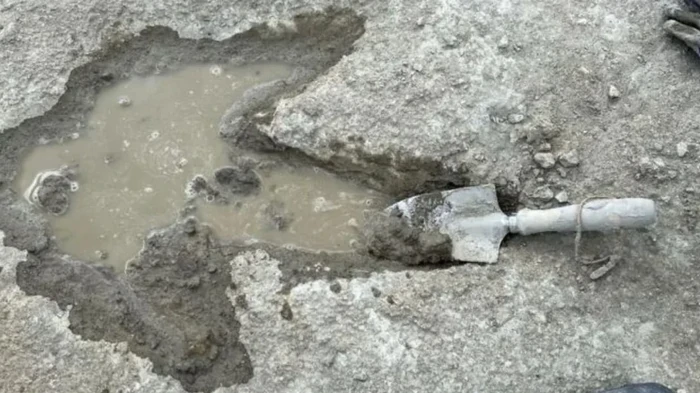 220 метров истории: археологи нашли самый длинный непрерывный след динозавров в Европе (фото)