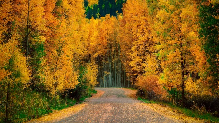 Гороскоп на неделю: для всех знаков зодиака