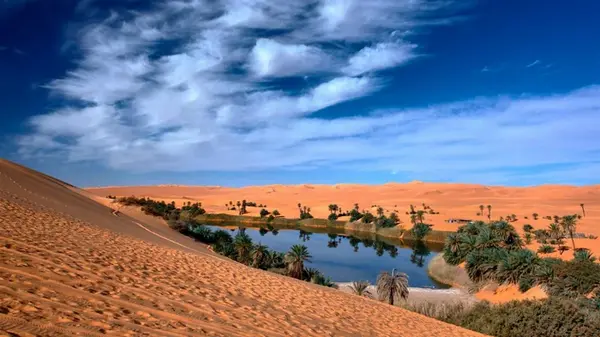 Сахара зазеленеет до конца века: климатологи предрекли эпоху дождей в Африке