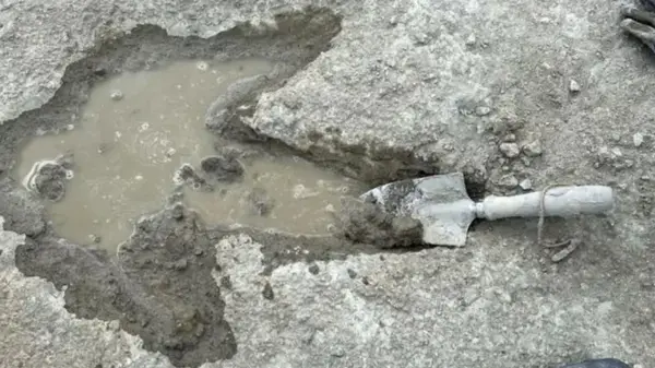 220 метров истории: археологи нашли самый длинный непрерывный след динозавров в Европе (фото)