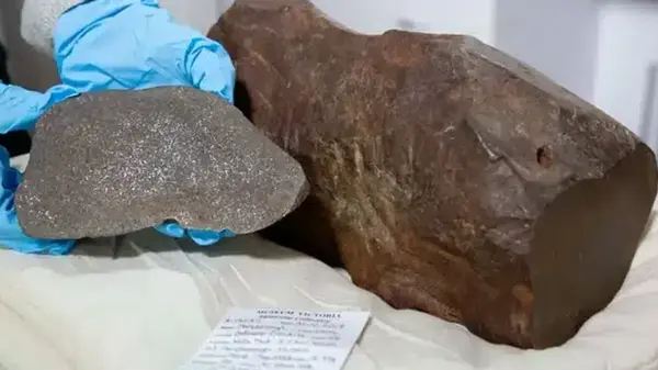 Мужчина нашел метеорит, старше Земли: как выглядит космический артефакт