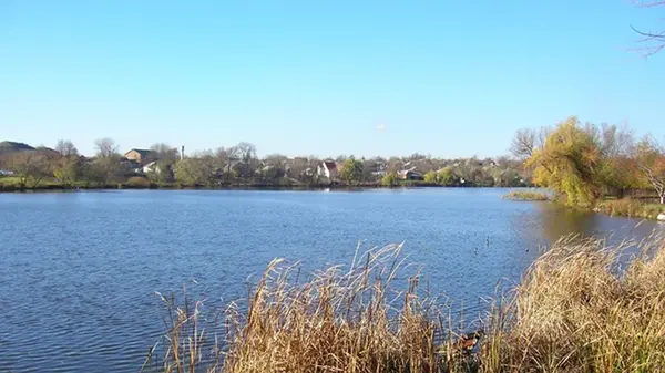 На Винничине зафиксировали массовую гибель рыбы