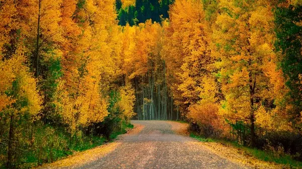 Гороскоп на неделю: для всех знаков зодиака