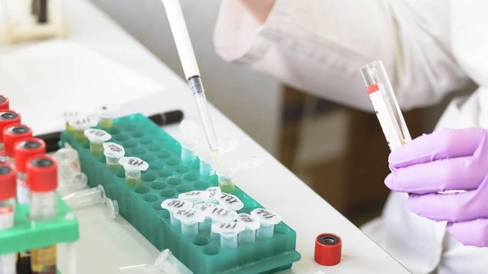 Ученые впервые разработали «эликсир молодости»