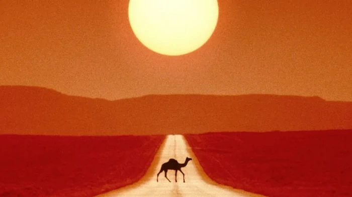 Экстремальные температуры связали с повышенным риском смерти: что станет причиной гибели