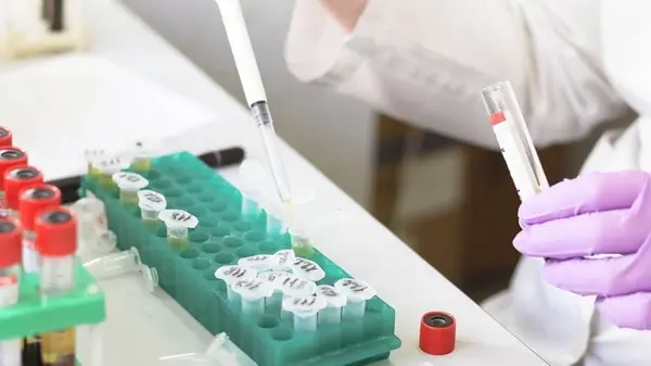 Ученые впервые разработали «эликсир молодости»