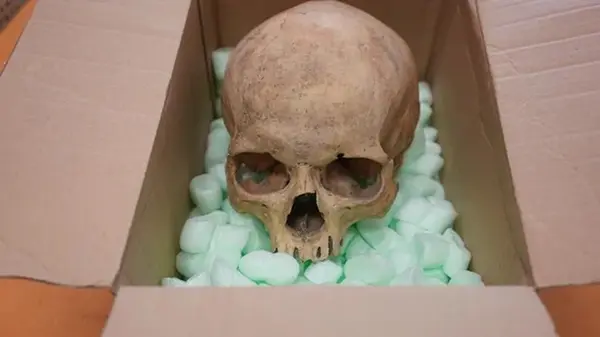 Немец вернул в венский собор реликвию, украденную 60 лет назад