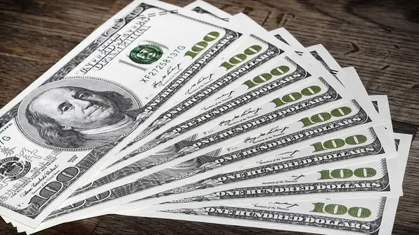 Сколько будут стоить 100 долларов в Украине: прогноз банкира до конца октября