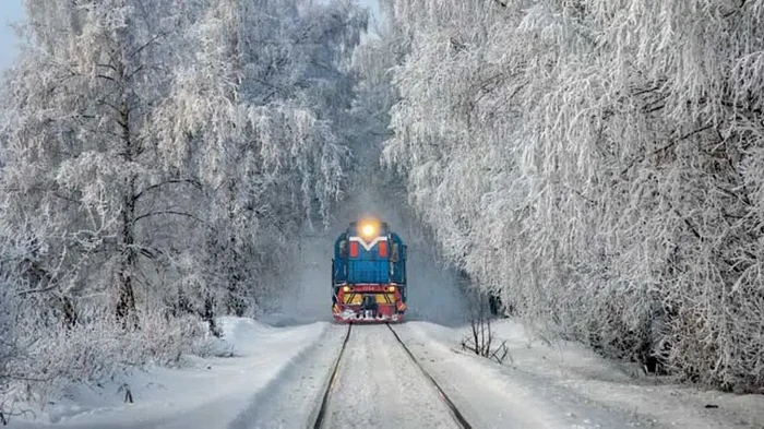 Бесплатные 3000 км можно использовать не всегда: в «Укрзализныце» объяснили ограничения