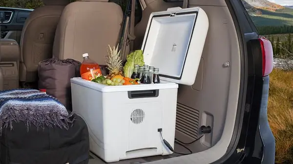 Компрессорный или термоэлектрический: какой автохолодильник лучше