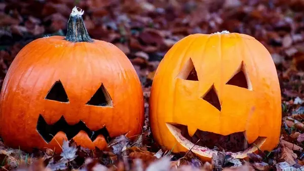 Принесет много вреда: почему нельзя оставлять тыквы на улице