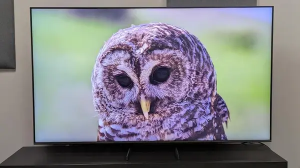 QLED и OLED телевизоры: что это такое и какой экран лучше