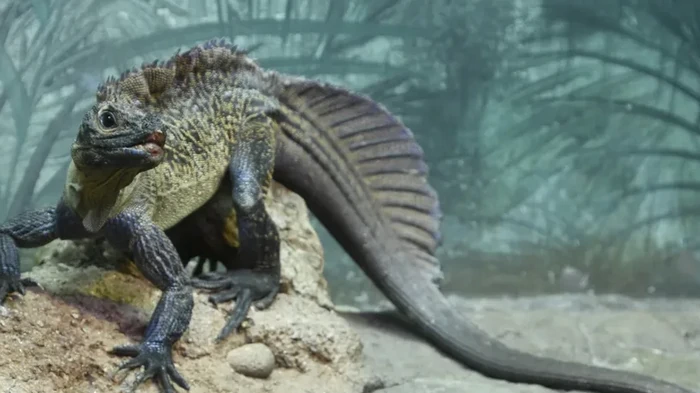 Мифическое существо из доисторических времен: названо животное, которое умеет ходить по воде