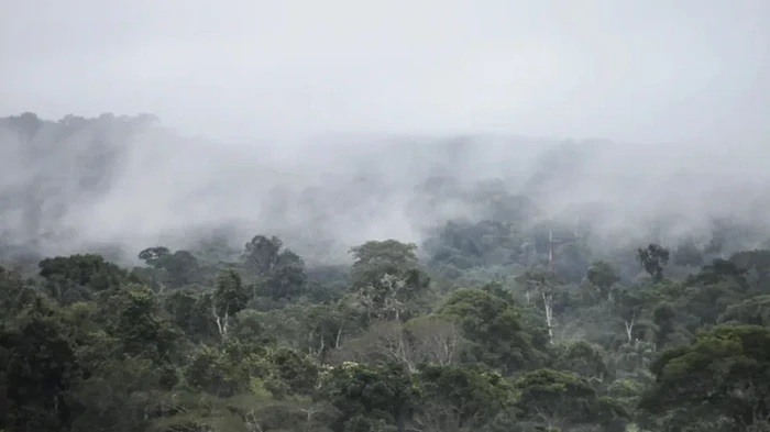 Найден неожиданный источник метана на Земле: ранее считалось, он лишь поглощает углерод