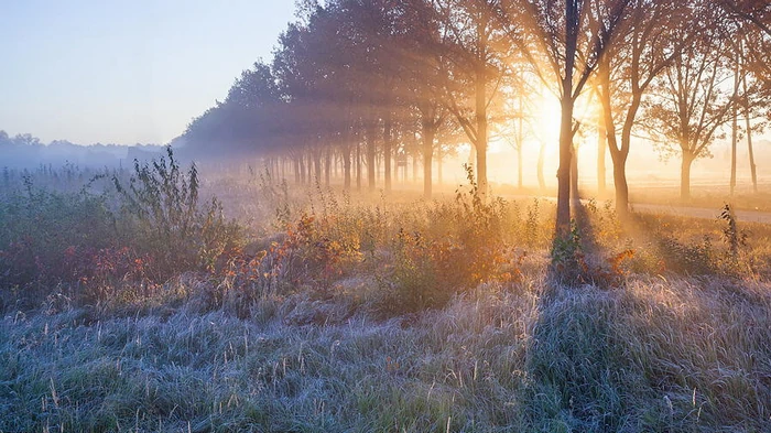 Гороскоп на неделю: для всех знаков зодиака