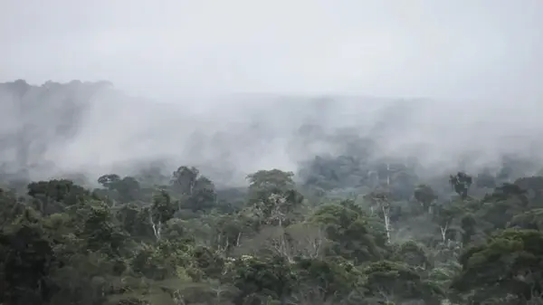 Найден неожиданный источник метана на Земле: ранее считалось, он лишь поглощает углерод