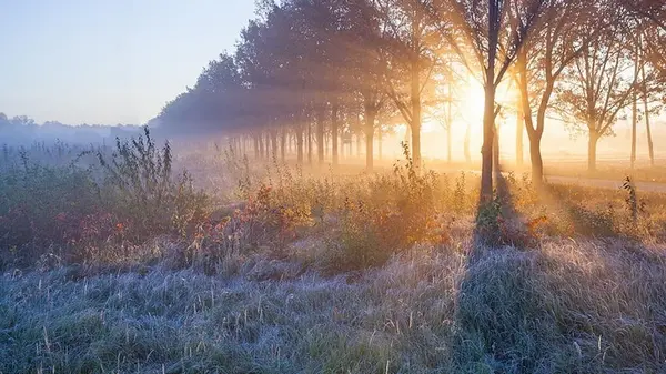 Гороскоп на неделю: для всех знаков зодиака