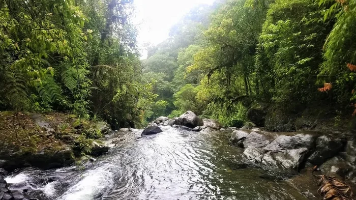 Последний неуправляемый рубеж на Земле: где расположен самый опасный коридор в мире