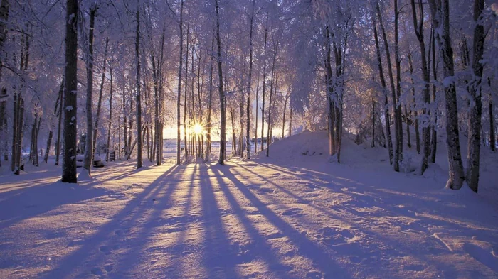 Гороскоп на неделю: для всех знаков зодиака
