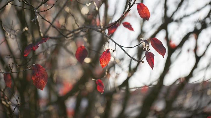 На выходных в Украину придет похолодание, но есть нюанс, — синоптик