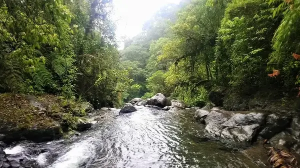 Последний неуправляемый рубеж на Земле: где расположен самый опасный коридор в мире