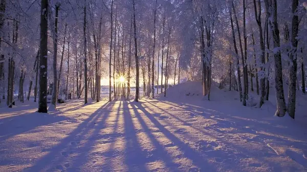 Гороскоп на неделю: для всех знаков зодиака