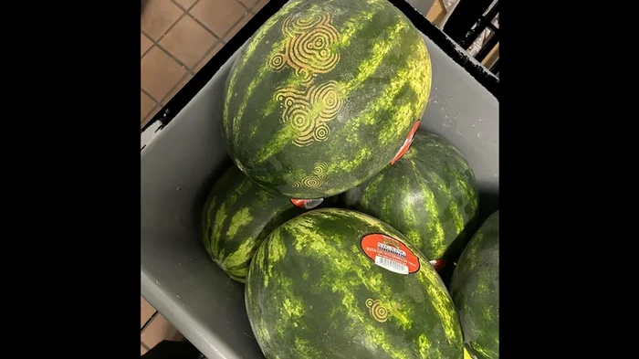 Инопланетные метки на арбузах беспокоят людей по всему миру: что оставляет узоры на ягоде