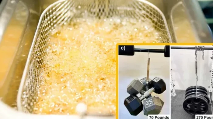 Ученые создали клей, способный буксировать автомобиль, из растительного масла (фото)